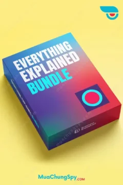 Everything Explained Bundle