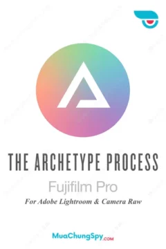 Archetype Process Fujifilm Pro
