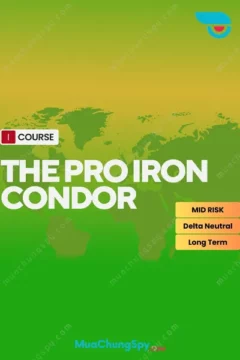 The Pro Iron Condor